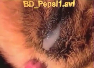 Incredible bestiality and a creampie