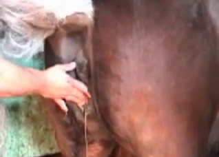 Exploring that huge mare hole