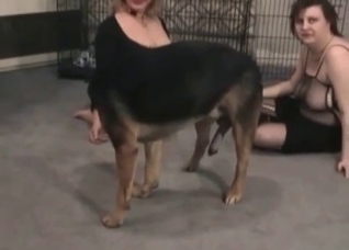 Bestiality with a bit of voyeurism