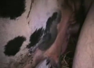 Sweaty close-ups showing bestiality