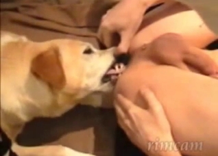Dude receives a rimjob from his pooch