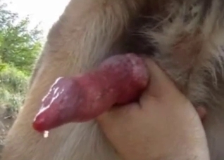 Staring at this hot animal cock
