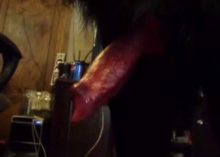 Dude playing with this hot cock