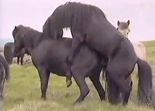 Outdoors action with brutal beasts