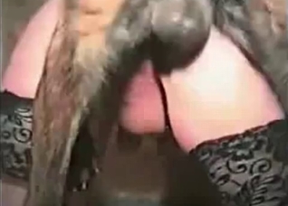 Stockings-clad babe mounted by a dog