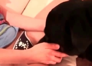 Short-haired zoophile seducing a dog