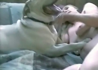 Hardcore action with a very hung animal