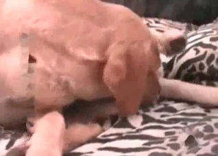 Extreme sex with a kinky animal