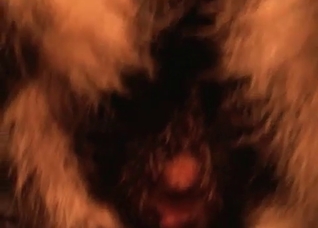 Close-ups that will blow your mind