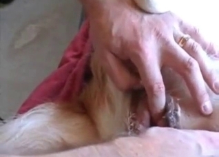 Animal cunt looks delicious here