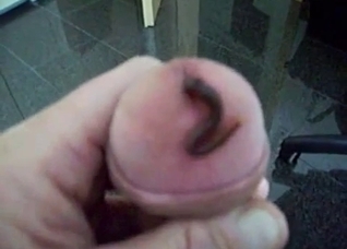 Worm crawls up his pee hole, enjoy