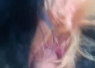 Close-ups to blow your fucking mind