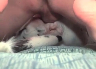 Dude fucks his dog like a bitch