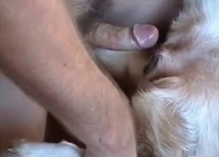 Incredible fingering and fucking for a bitch